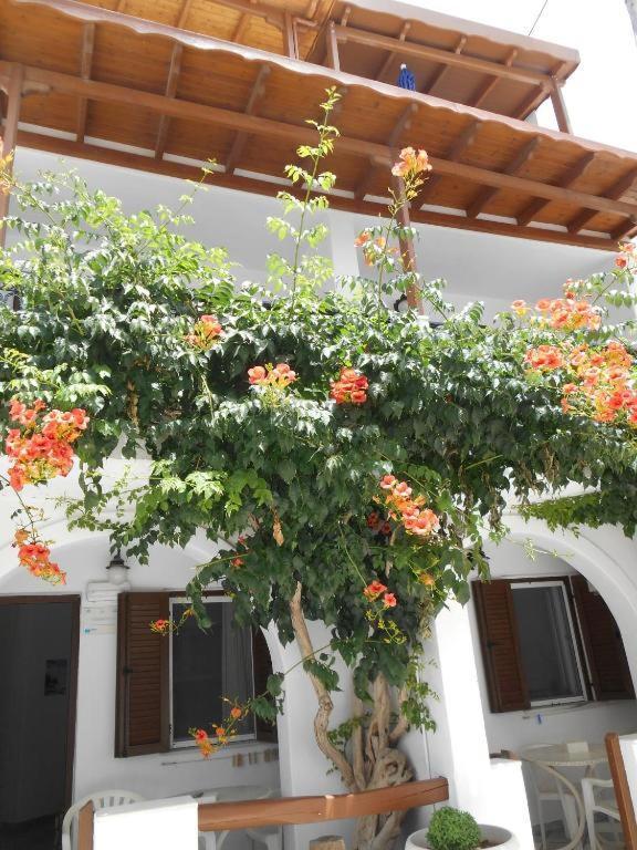 Summerfell Agia Anna  Esterno foto